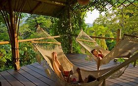 Finca Exotica Eco Lodge