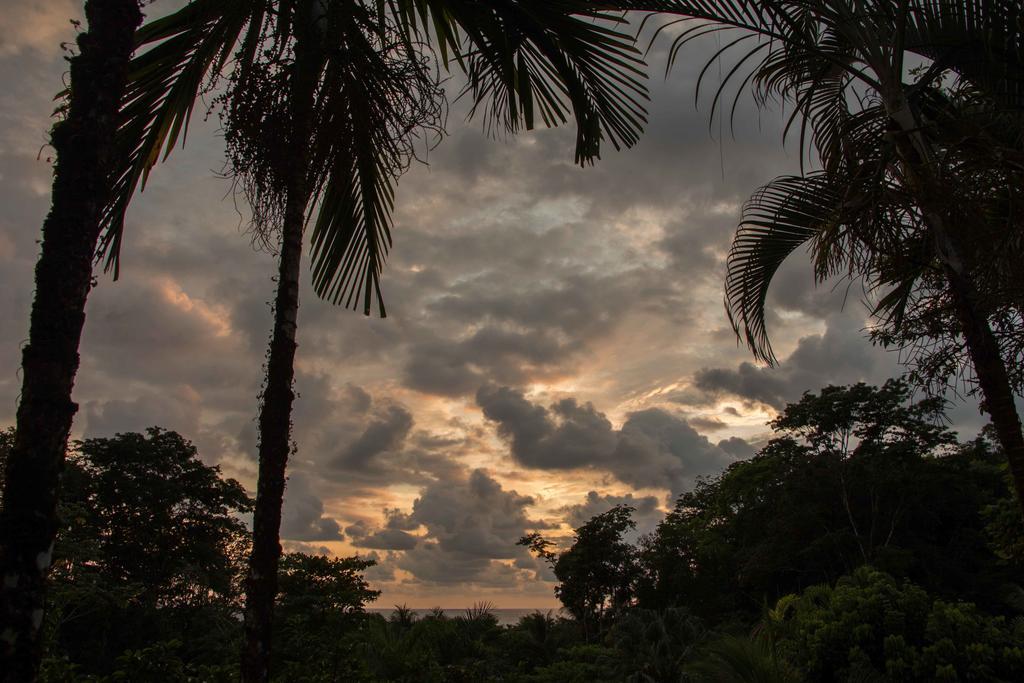 Finca Exotica Eco Lodge Carate Exterior photo