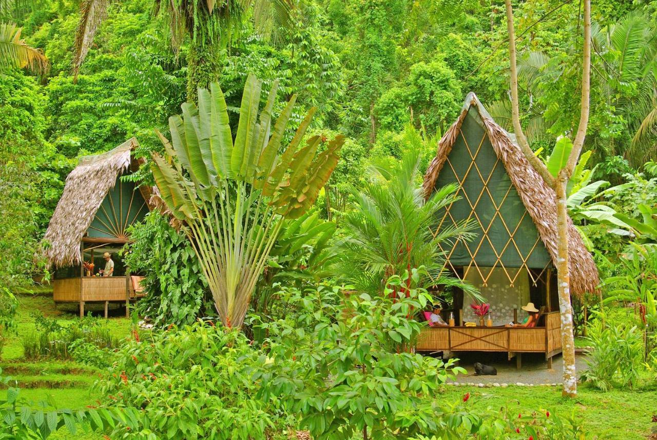 Finca Exotica Eco Lodge Carate Exterior photo